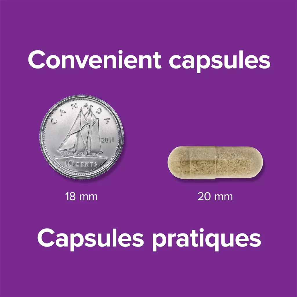 آهن 28mg وبر نچرالز GENTLE IRON حاوی B12,Folic Acid