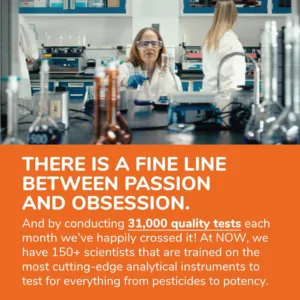 ویتامین D3 دی NOW دوز 1000UI جویدنی