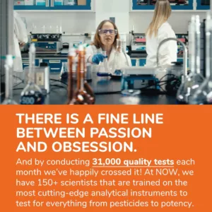 مکمل DHA-500 امگا3 NOW نو EPH250+DHA-500 تعداد 180 عدد