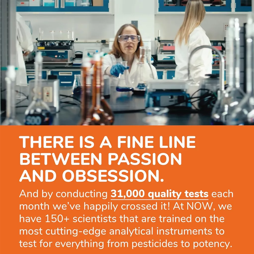 مکمل DHA-500 امگا3 NOW نو EPH250+DHA-500 تعداد 180 عدد