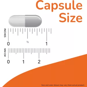 منیزیم NOW ترکیبی ترنسپرتر Magnesium Transporters