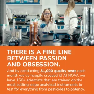 منیزیم NOW ترکیبی ترنسپرتر Magnesium Transporters