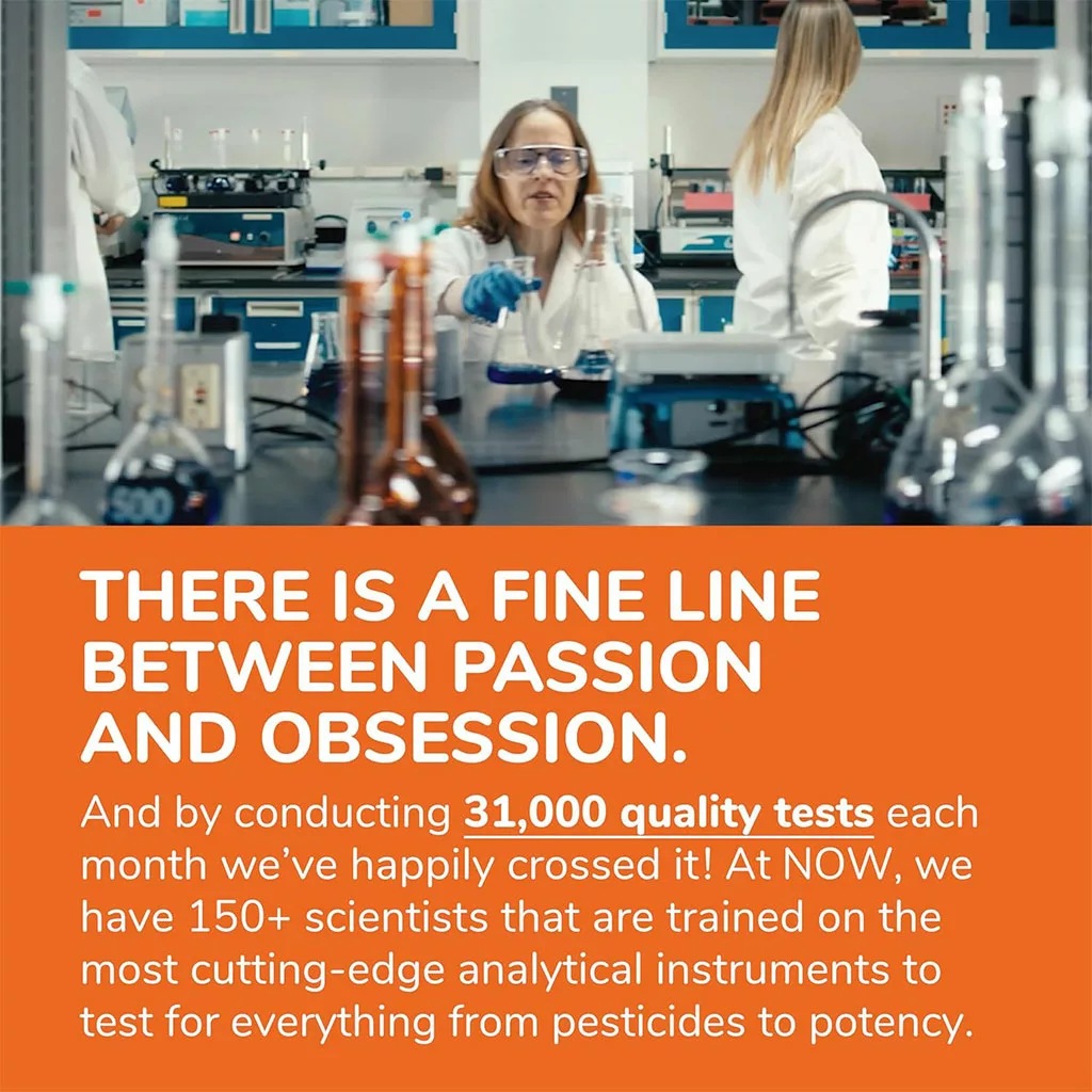 مکمل فیبر NOW ضد یبوست Whole Psyllium Husks